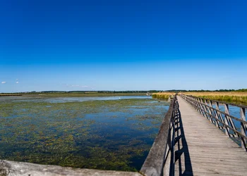 Naturerlebnis Federsee