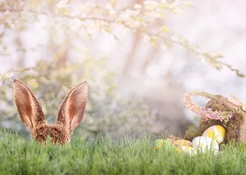 Osterfahrt ins Blaue