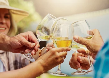 Genussvolle Pfalz - Speyer, Wein & Kulinarik erleben