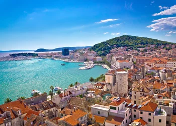 Mandarinenernte an der Makarska Riviera