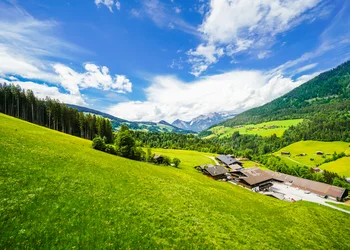 Zillertal - Almabtrieb im Alpbachtal