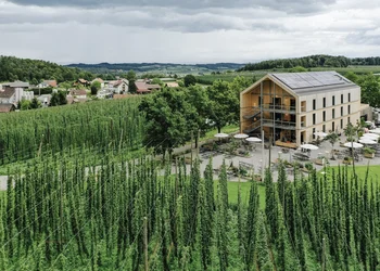 Hopfen, Heimat & Genuss- Entdecken Sie das Tettnanger Land