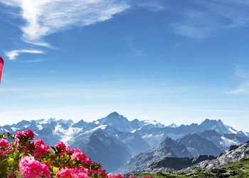 Alpenrundfahrt mit dem ExtraStar 2+1