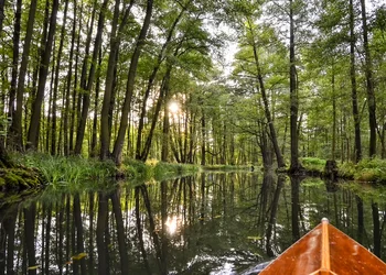 Zauberhafte Lausitz & Spreewald