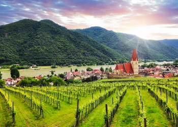 Die Wachau entdecken und genießen