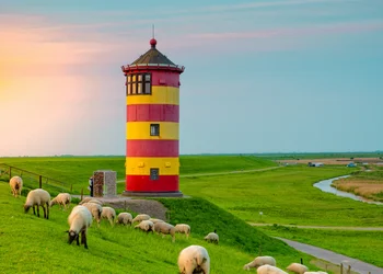 Ostfriesland – Seehunde, Wattenmeer & Langeoog