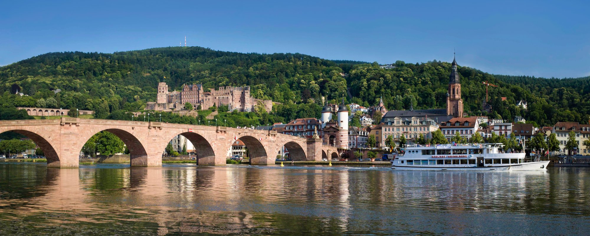 Neckarpanorama - Heidelberg