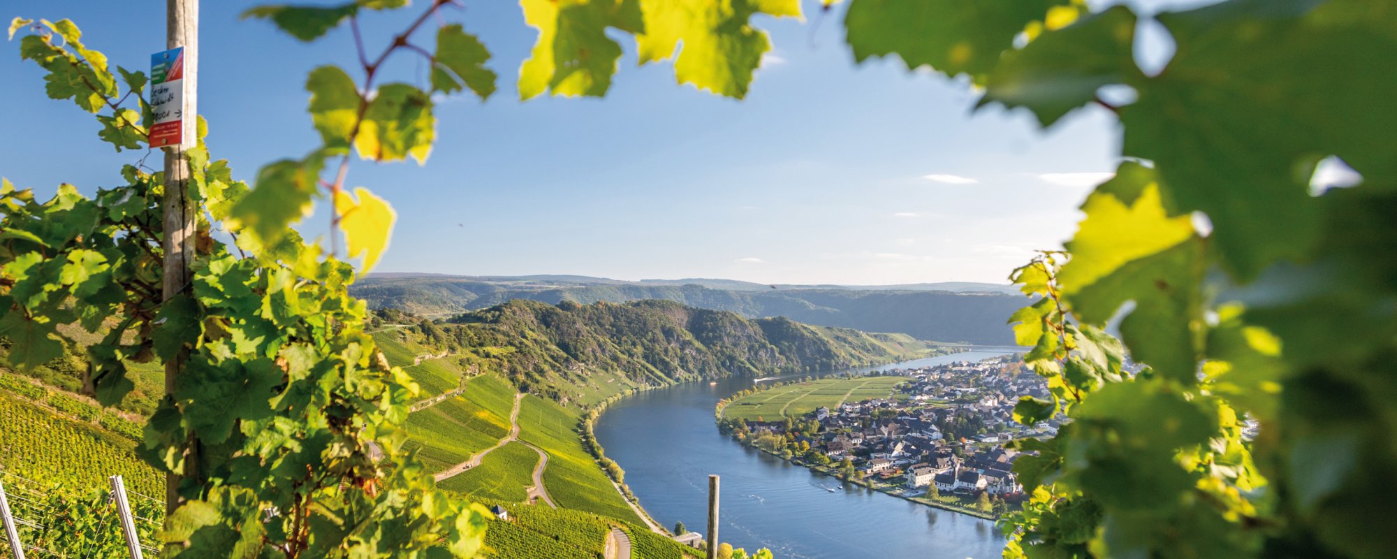 Mosel-Panorama