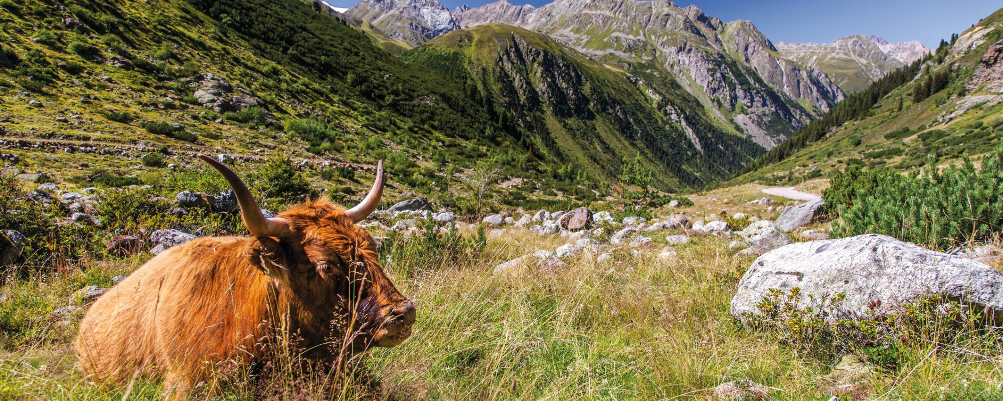 Landschaft im Pitztal