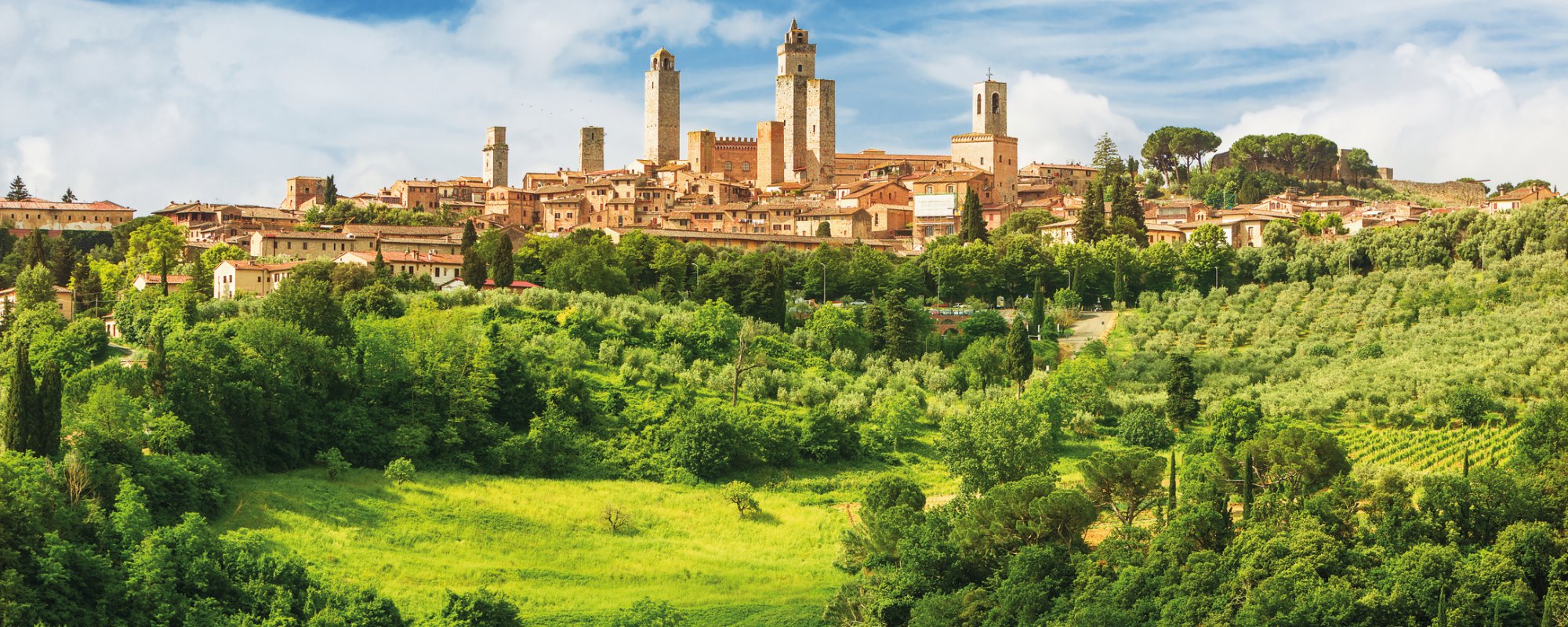 San Gimignano  - umbgeben von Weinbergen
