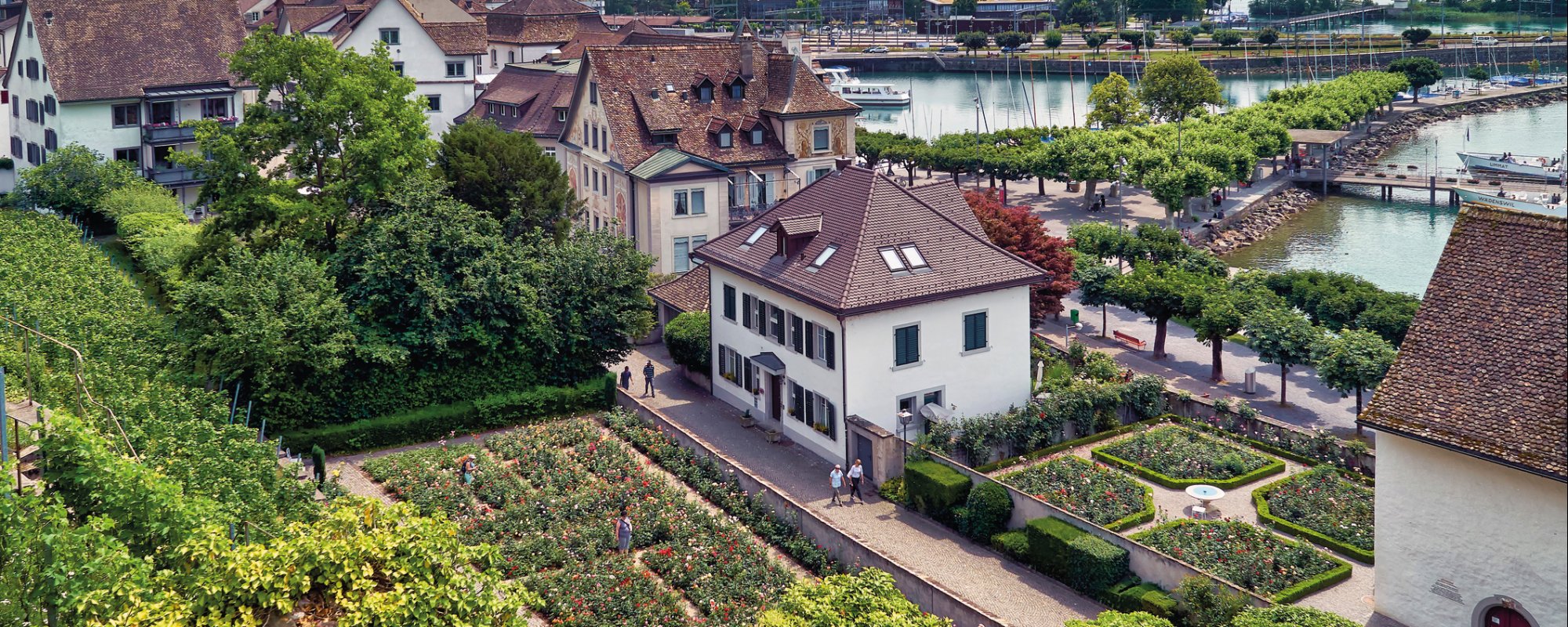 Rosengarten in Rapperswil