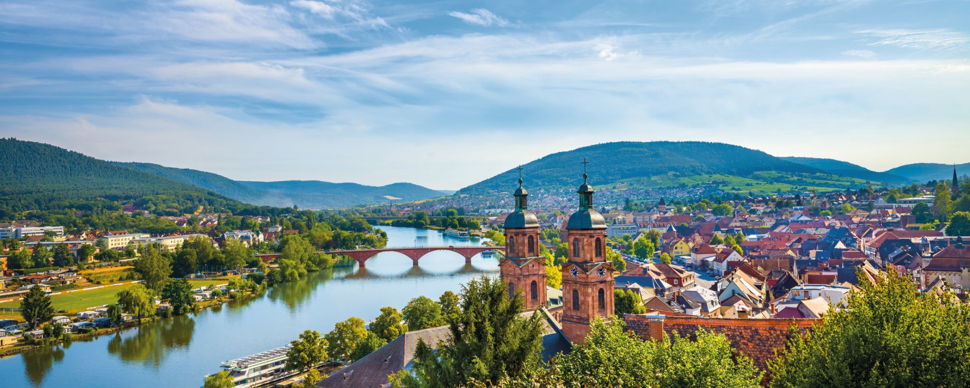 Blick auf Miltenberg am Main
