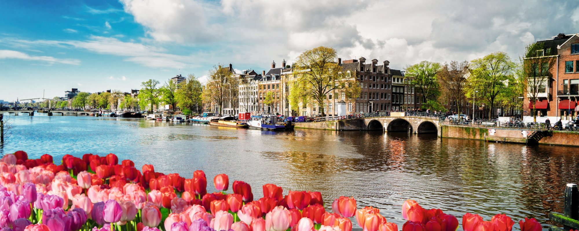 Amsterdam Amstel Kanal mit Tulpen