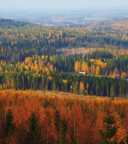 Herbstlandschaft von Väisälänmäki