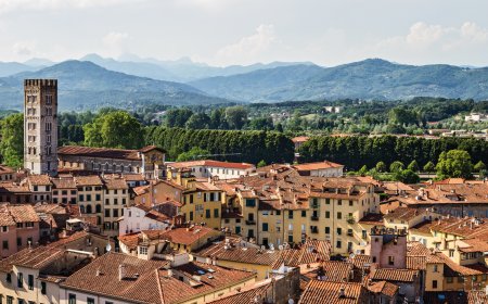 © Frank - fotolia.com
