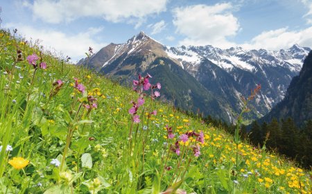 © by paul-fotolia.com