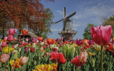 © Keukenhof 