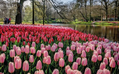 © Keukenhof Holland