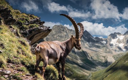 © TVB Pitztal