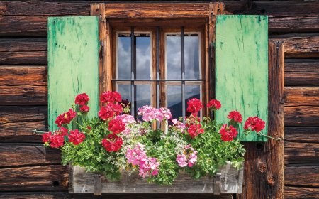 © mRGB-fotolia.com
