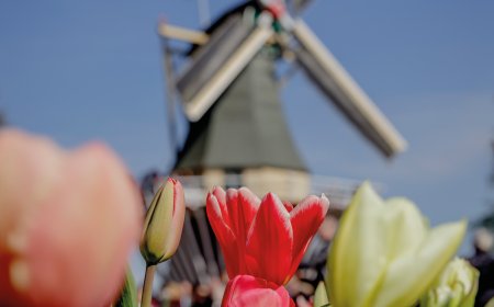 © Keukenhof Holland