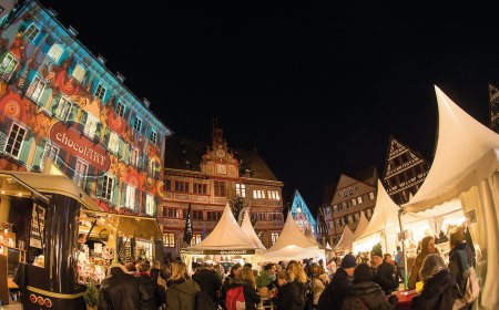 © Alexander Gonschior 