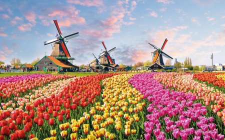 © Olena Z - stock.adobe.com