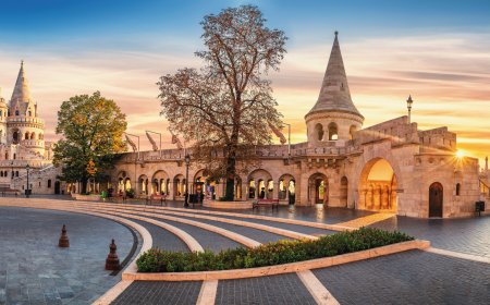 © Augustin Lazaroiu - stock.adobe.com