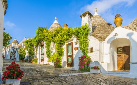 © Balate Dorin - stock.adobe.com