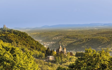 © Martin - stock.adobe.com
