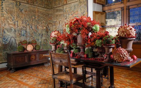 © Chateau de Chenonceaux