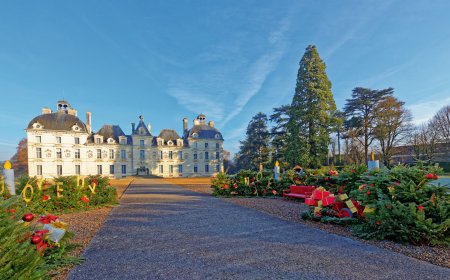 © M. Martin Chateau de Cheverny