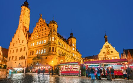 © ecstk22 - stock.adobe.com