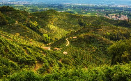 © Alberto Agnoletto - stock.adobe.com