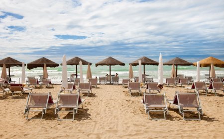 © janvier - stock.adobe.com