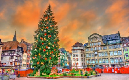 © Leonid Andronov - stock.adobe.com
