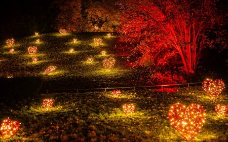 © Christmas Garde_Rainer Keuenhof